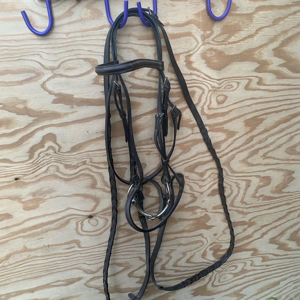 Draft/warmblood horse english bridle